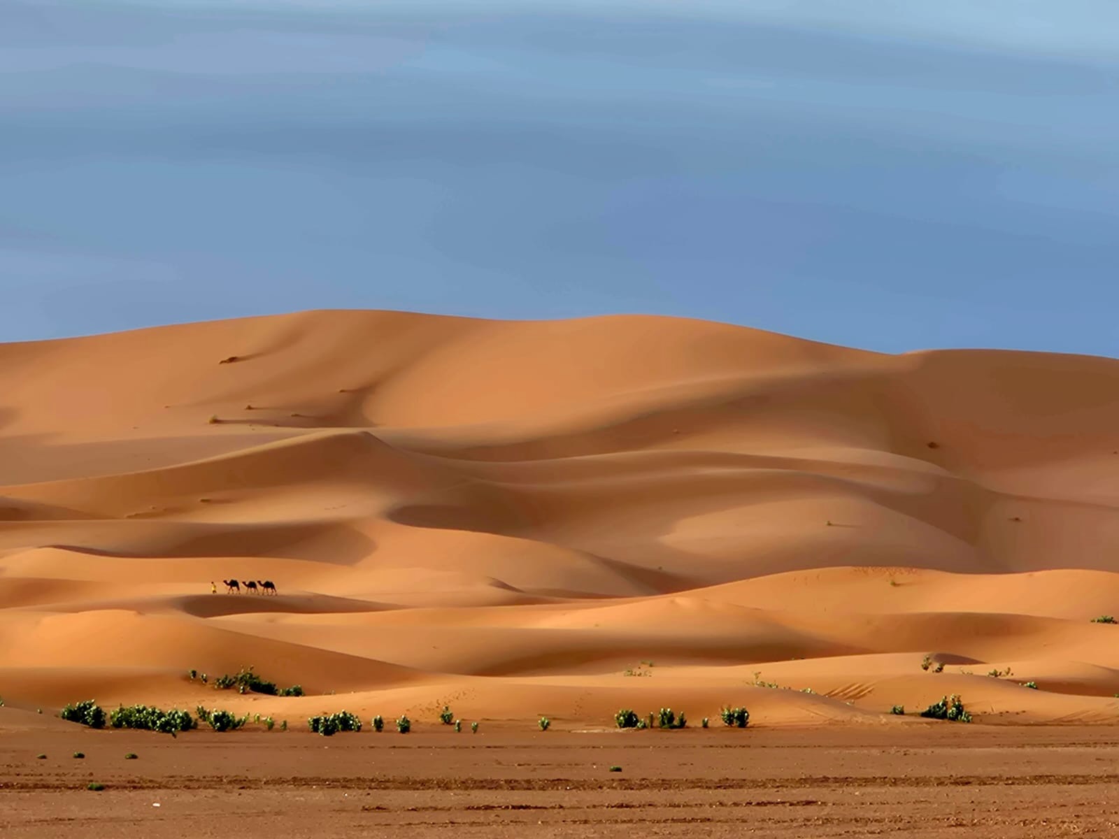 ce68e071-e78b-4160-bc06-e4189d45fce7