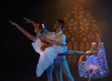 de0d4948-b016-434c-aafd-4e026687b835-4-5005-c